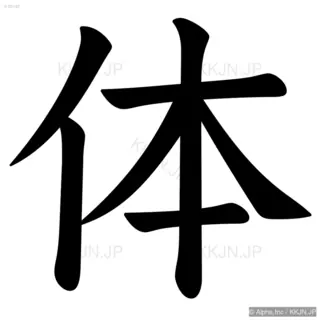 体の筆順サムネイル