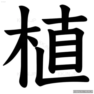 植の筆順サムネイル