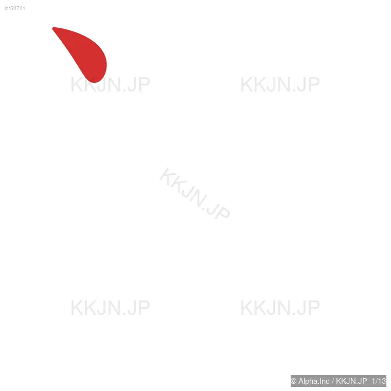 資の筆順ステップ 1/13