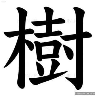 樹の筆順サムネイル