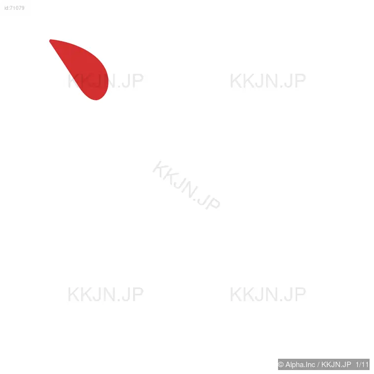 涯の筆順ステップ 1/11