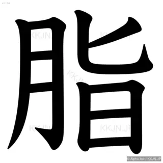 脂の筆順サムネイル