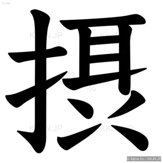 摂の筆順サムネイル