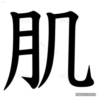 肌の筆順サムネイル