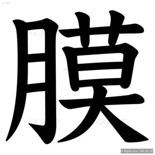 膜の筆順サムネイル