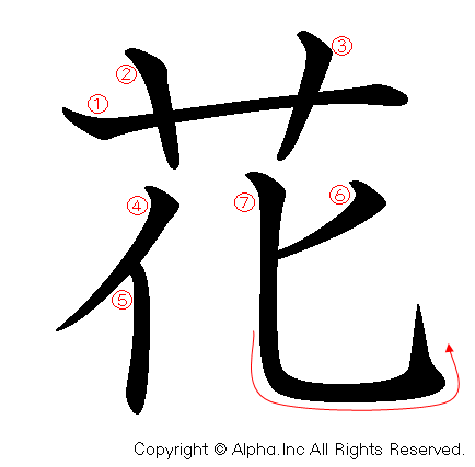 花の書き順画像低解像度版