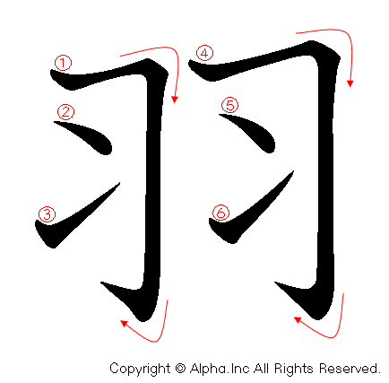 羽 の書き順 筆順と書き方