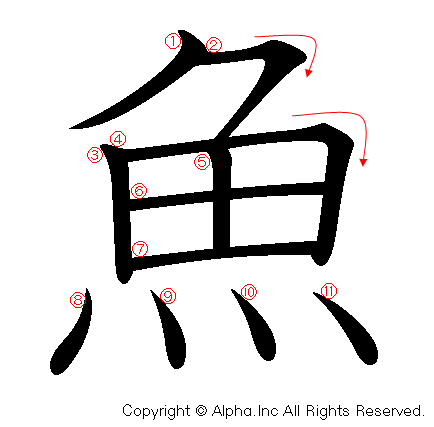 魚の書き順画像低解像度版