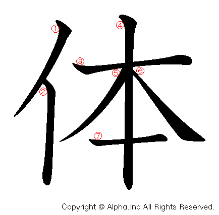 体の書き順画像低解像度版