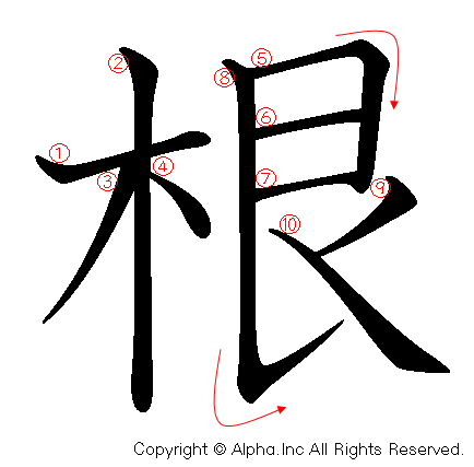 根の書き順画像低解像度版