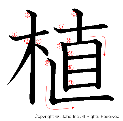 植の書き順画像低解像度版