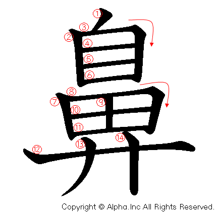 鼻の書き順画像低解像度版