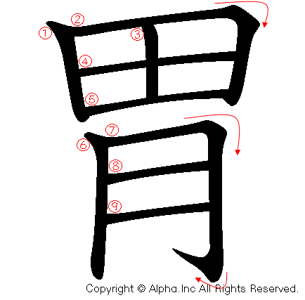 胃の書き順画像低解像度版