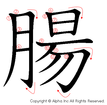 腸の書き順画像低解像度版