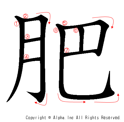 肥の書き順画像低解像度版