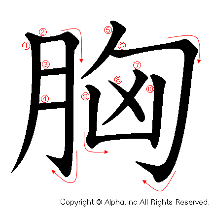 胸 の書き順 筆順と書き方