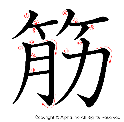 筋の書き順画像低解像度版