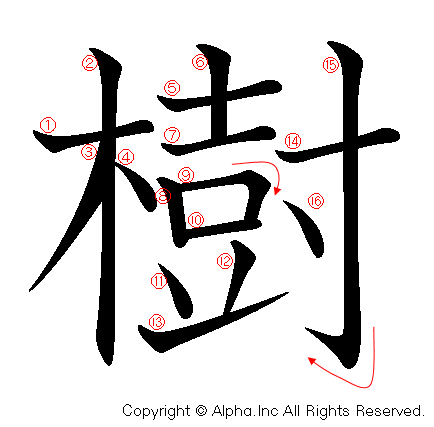 樹の書き順画像低解像度版