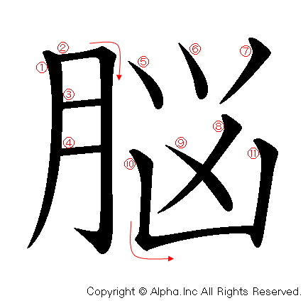 脳の書き順画像低解像度版