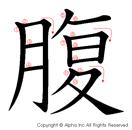 腹の書き順画像低解像度版