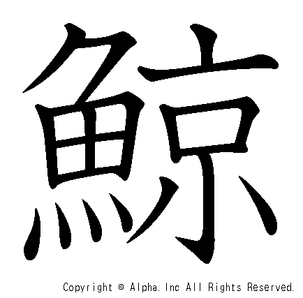 鯨の書き順画像低解像度版