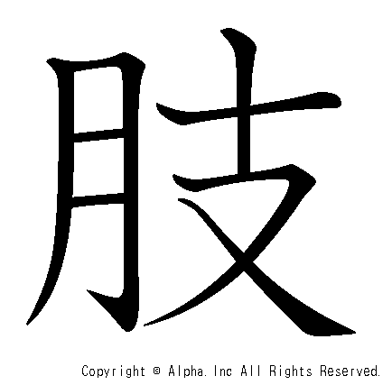 肢の書き順画像低解像度版