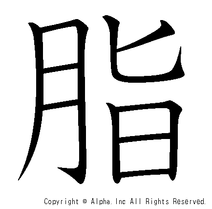 脂の書き順画像低解像度版