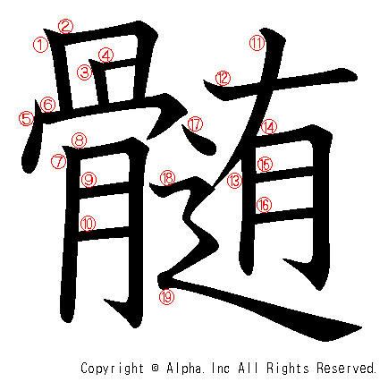 髄の書き順画像低解像度版