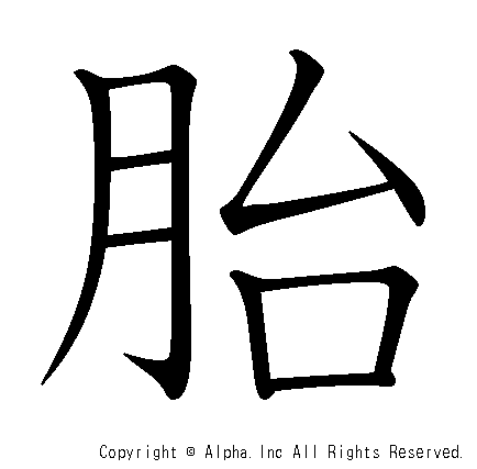 胎の書き順画像低解像度版