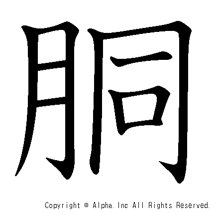 胴の書き順画像低解像度版