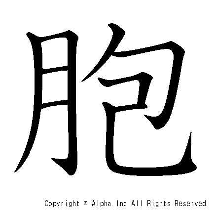 胞の書き順画像低解像度版