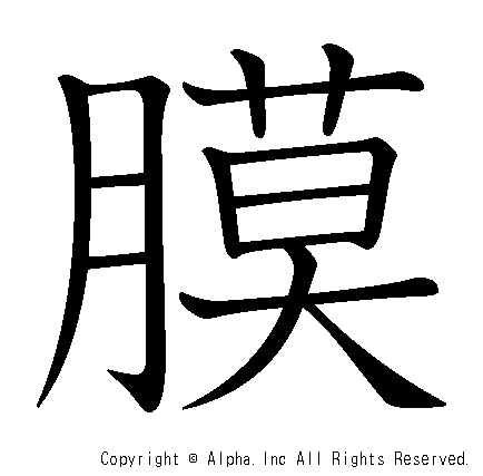 膜の書き順画像低解像度版